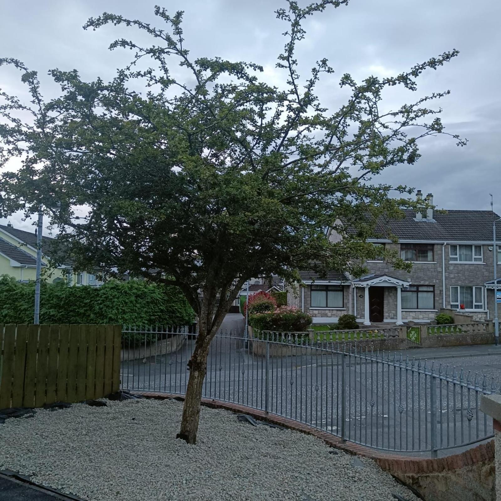 Bluebell House Villa Newry Bagian luar foto